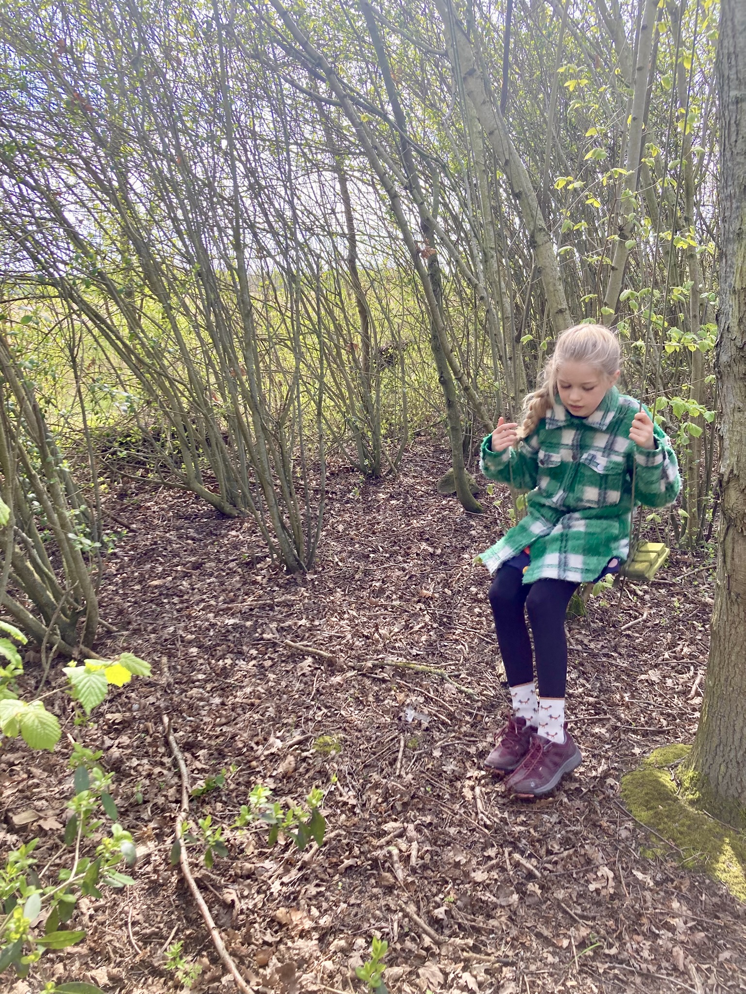 Power to the elephant