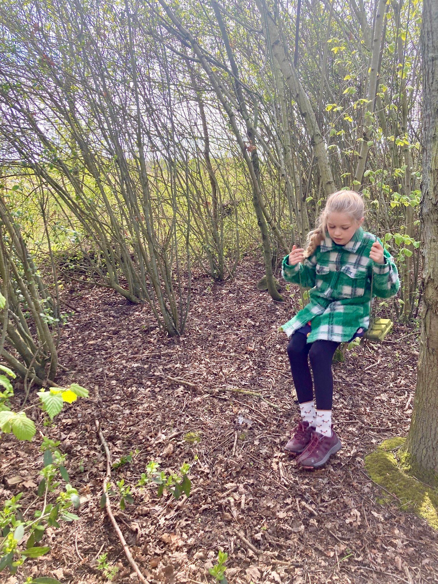 Power to the elephant