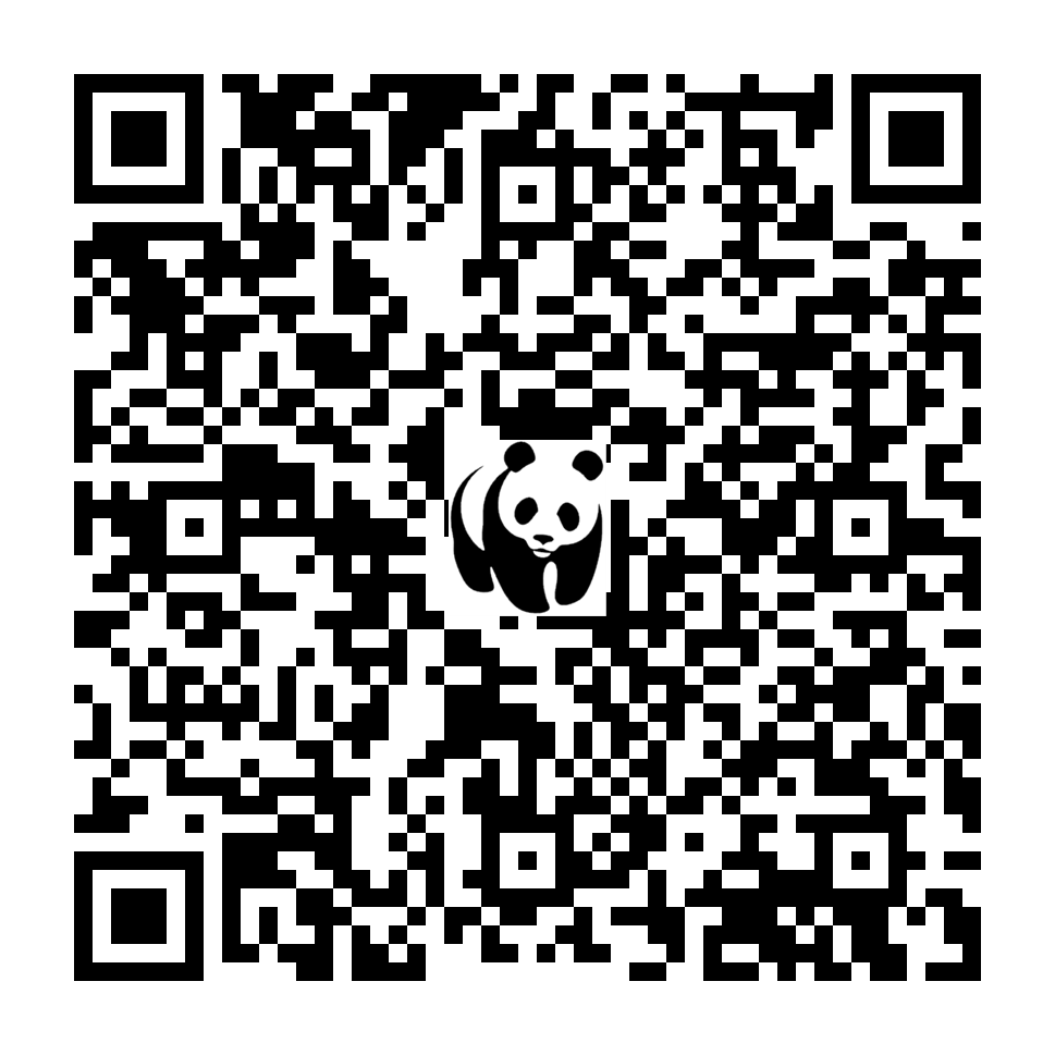 Scan deze QR-code om te doneren (vernieuw de pagina als je geen QR-code ziet)