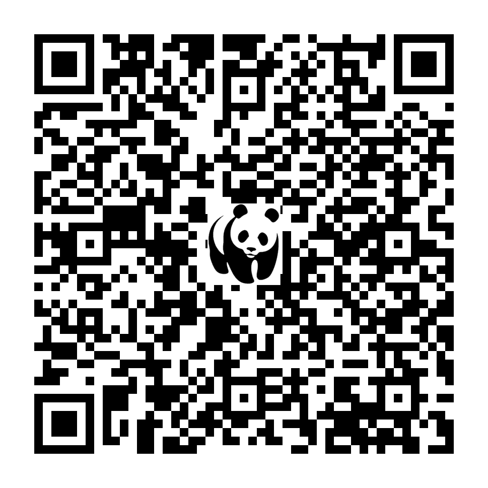 Scan deze QR-code om te doneren (vernieuw de pagina als je geen QR-code ziet)