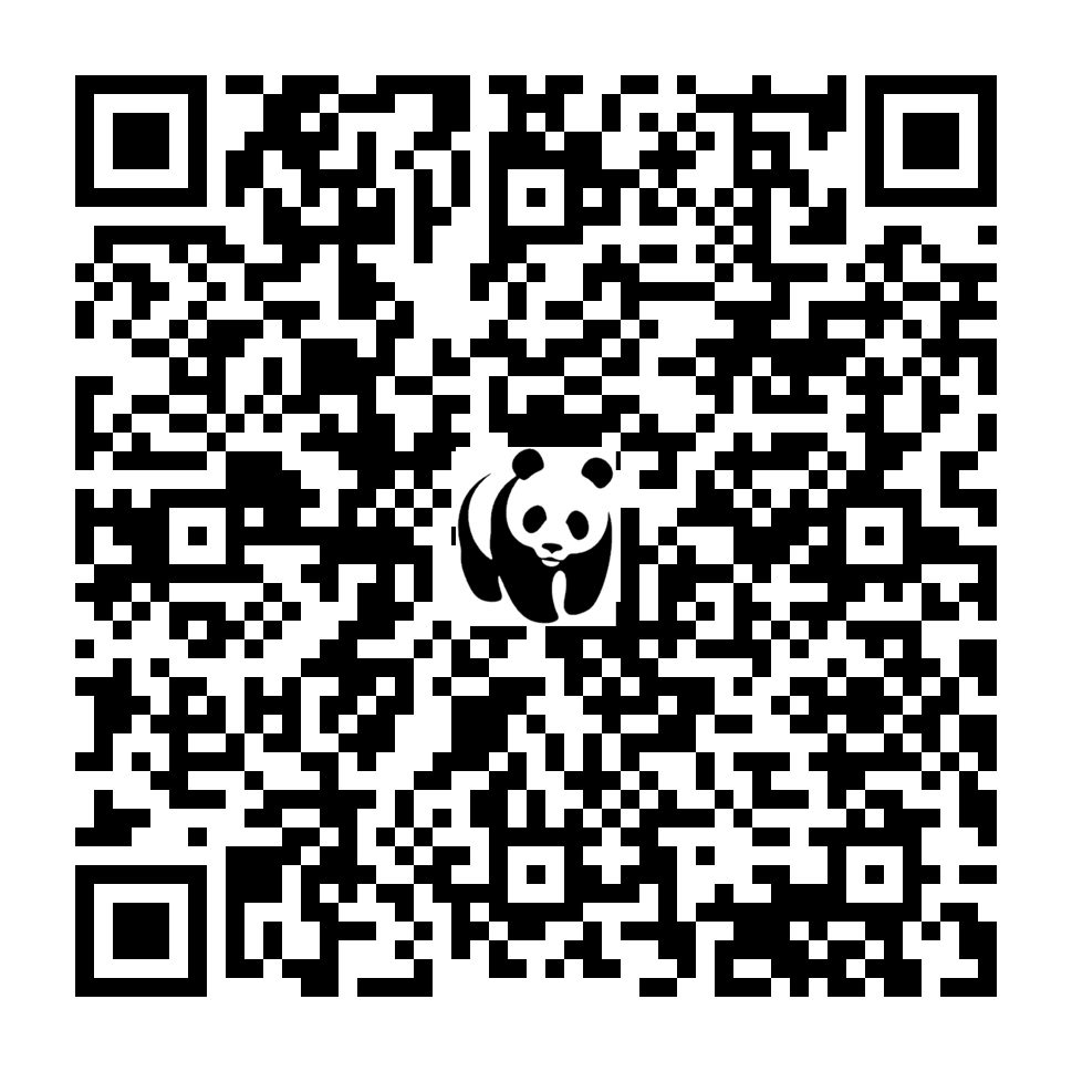 Scan deze QR-code om te doneren (vernieuw de pagina als je geen QR-code ziet)