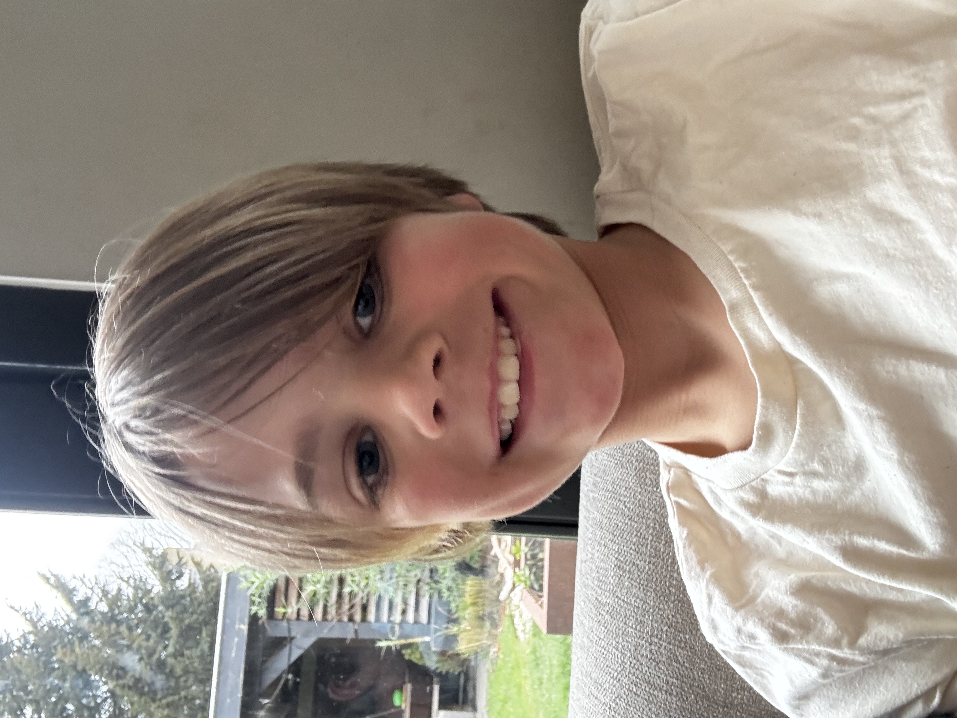 Gijsie en de olifanten 