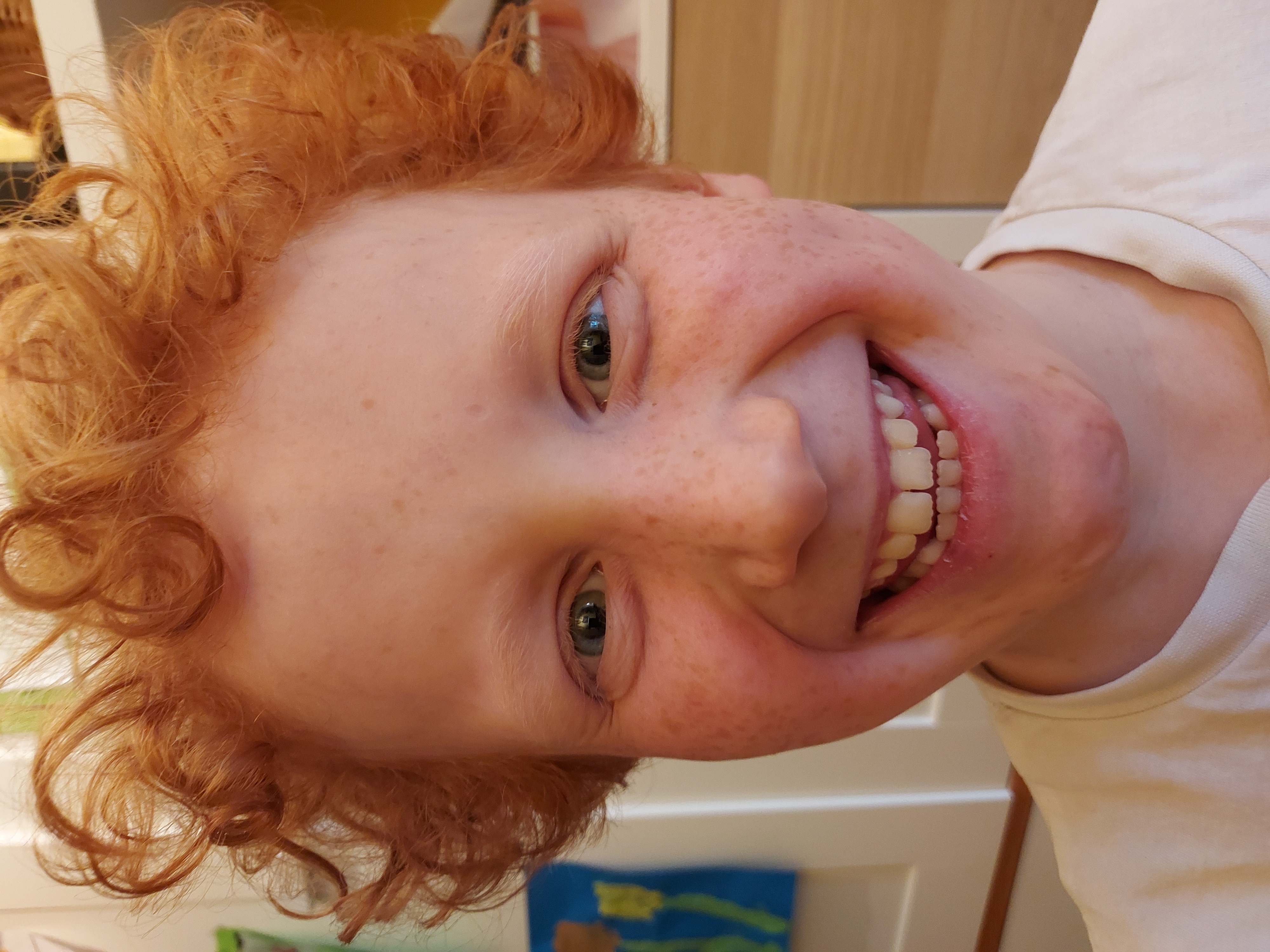 Abe helpt de zeeschildpad