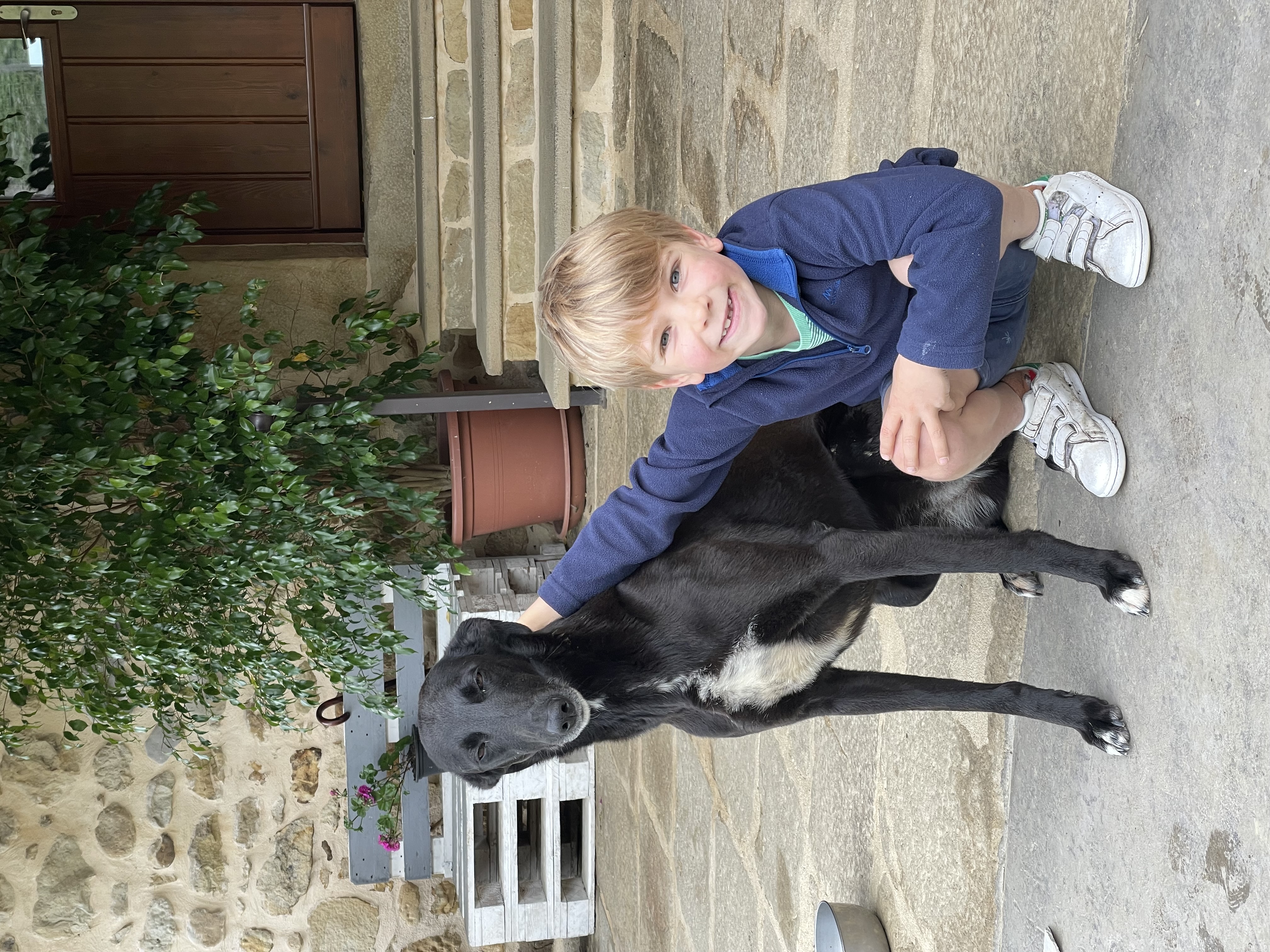 Jules en de schildpadden 