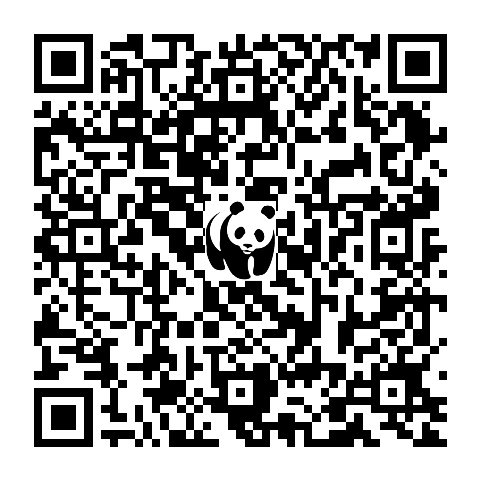 Scan deze QR-code om te doneren (vernieuw de pagina als je geen QR-code ziet)