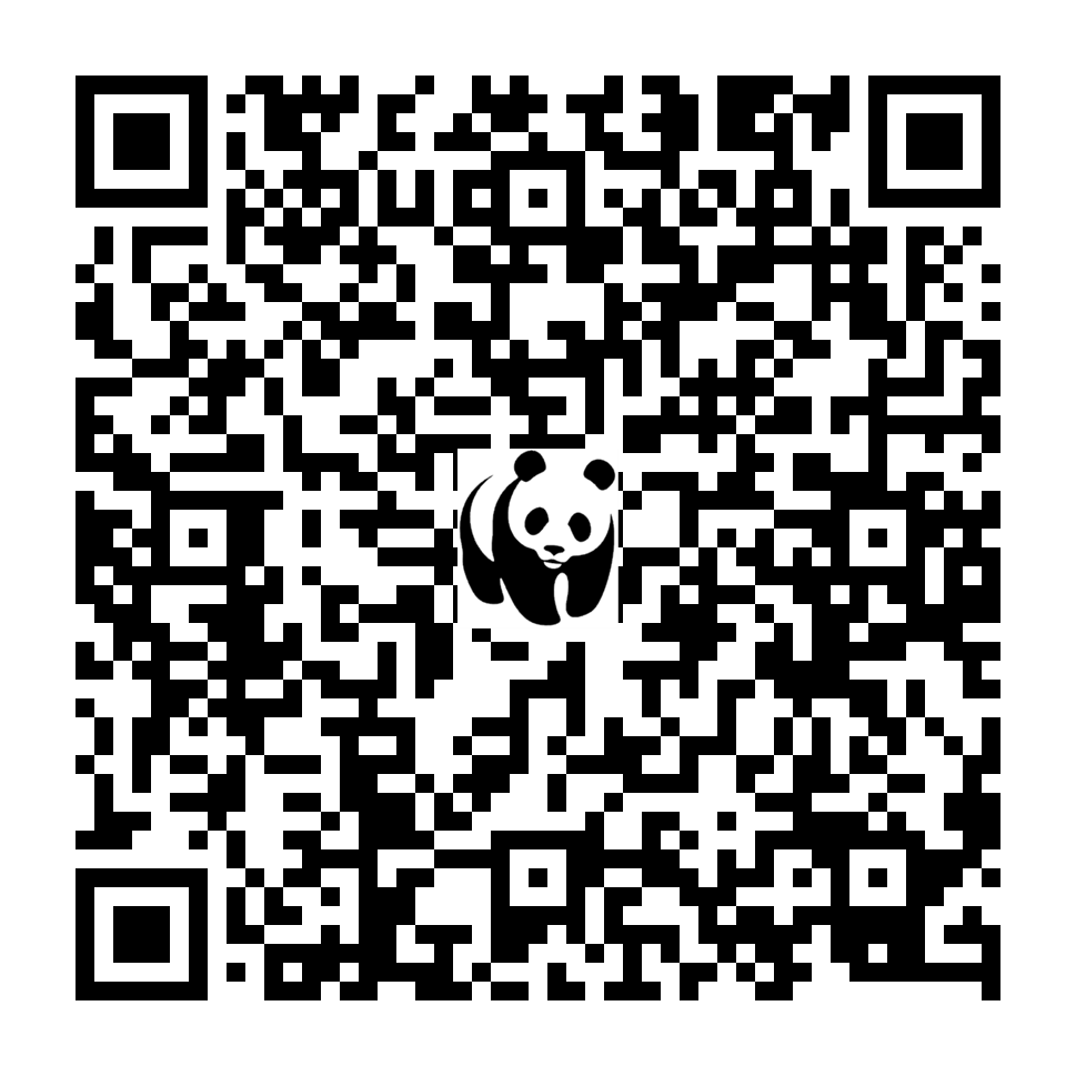 Scan deze QR-code om te doneren (vernieuw de pagina als je geen QR-code ziet)