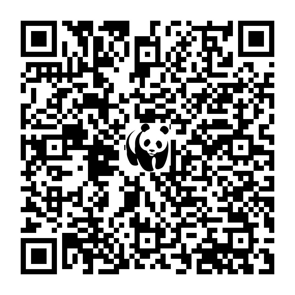 Scan deze QR-code om te doneren (vernieuw de pagina als je geen QR-code ziet)