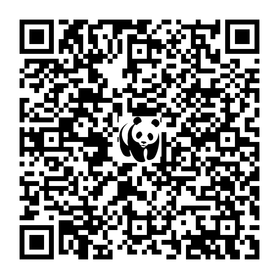Scan deze QR-code om te doneren (vernieuw de pagina als je geen QR-code ziet)