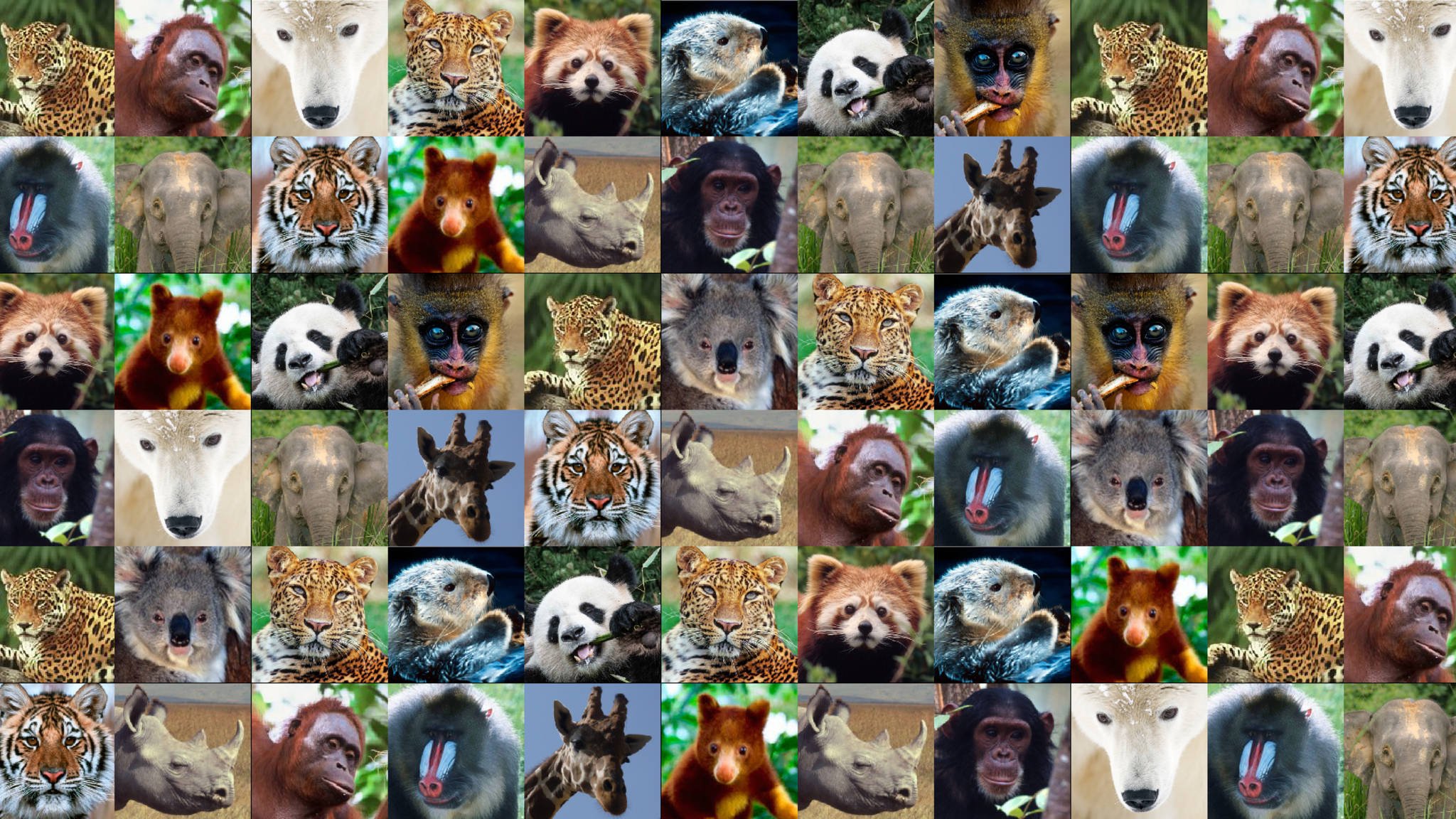 Statiegeld flessen actie