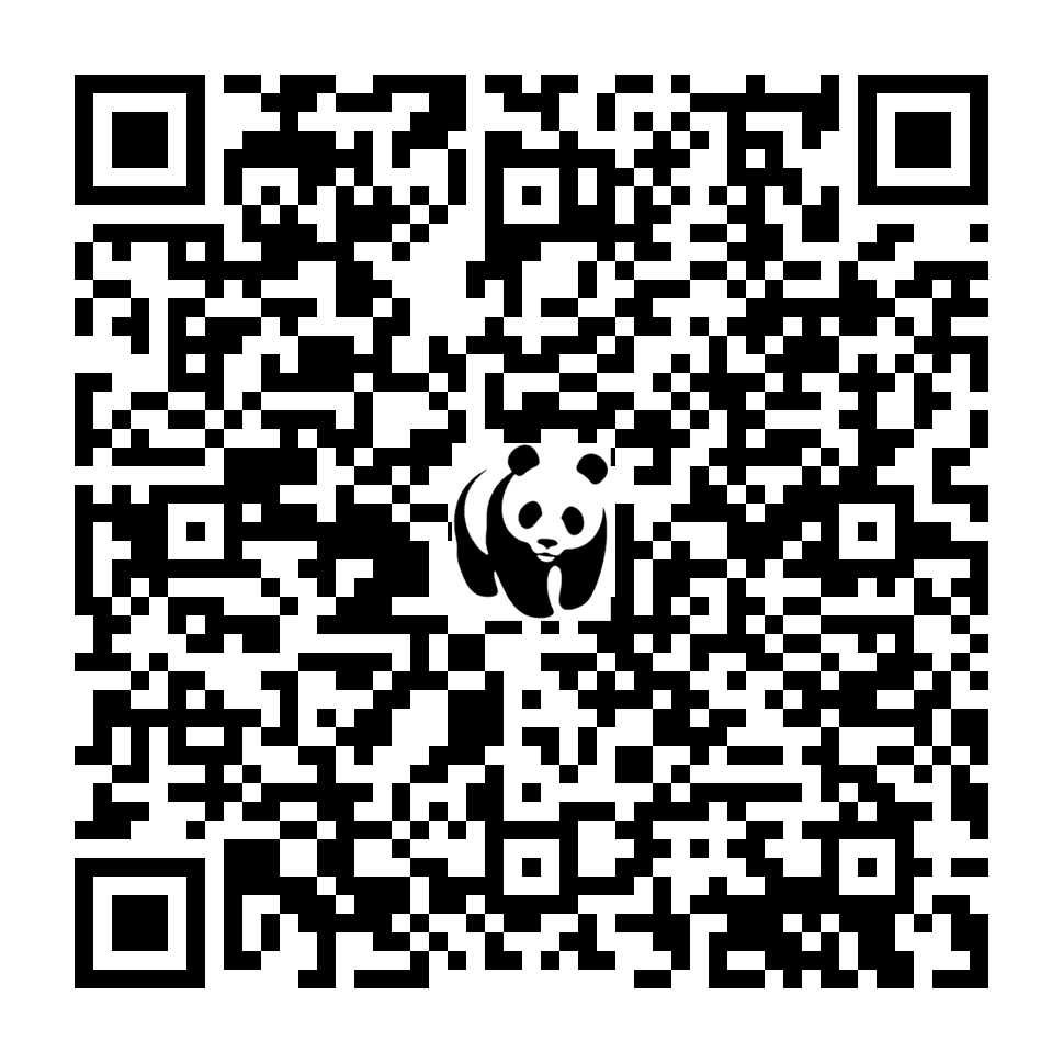 Scan deze QR-code om te doneren (vernieuw de pagina als je geen QR-code ziet)