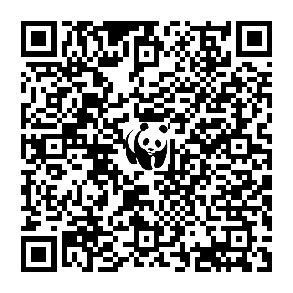 Scan deze QR-code om te doneren (vernieuw de pagina als je geen QR-code ziet)