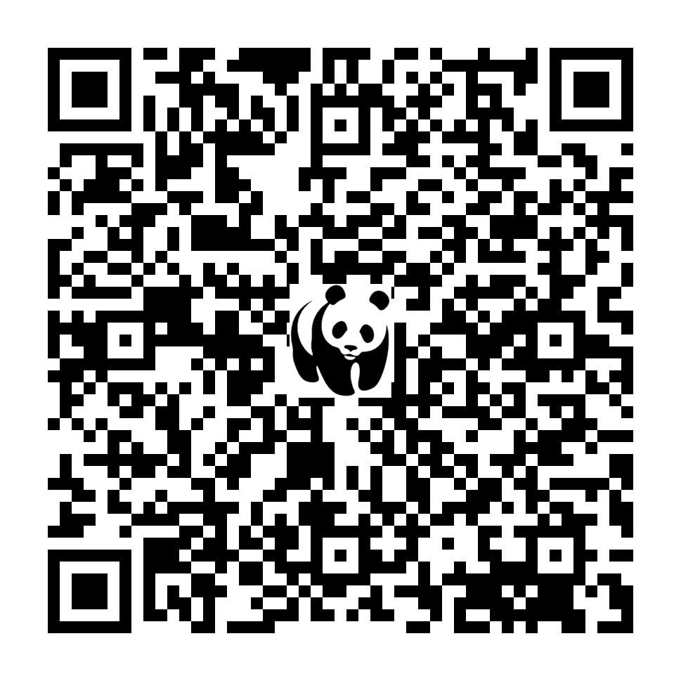 Scan deze QR-code om te doneren (vernieuw de pagina als je geen QR-code ziet)