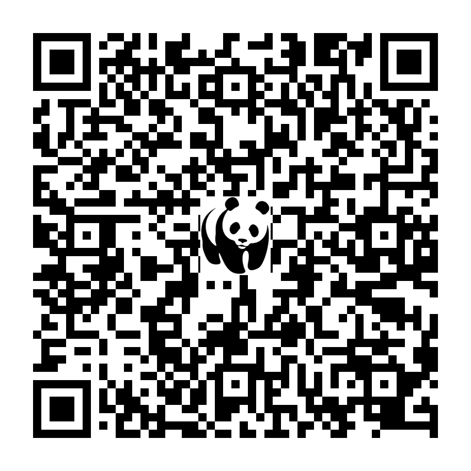 Scan deze QR-code om te doneren (vernieuw de pagina als je geen QR-code ziet)