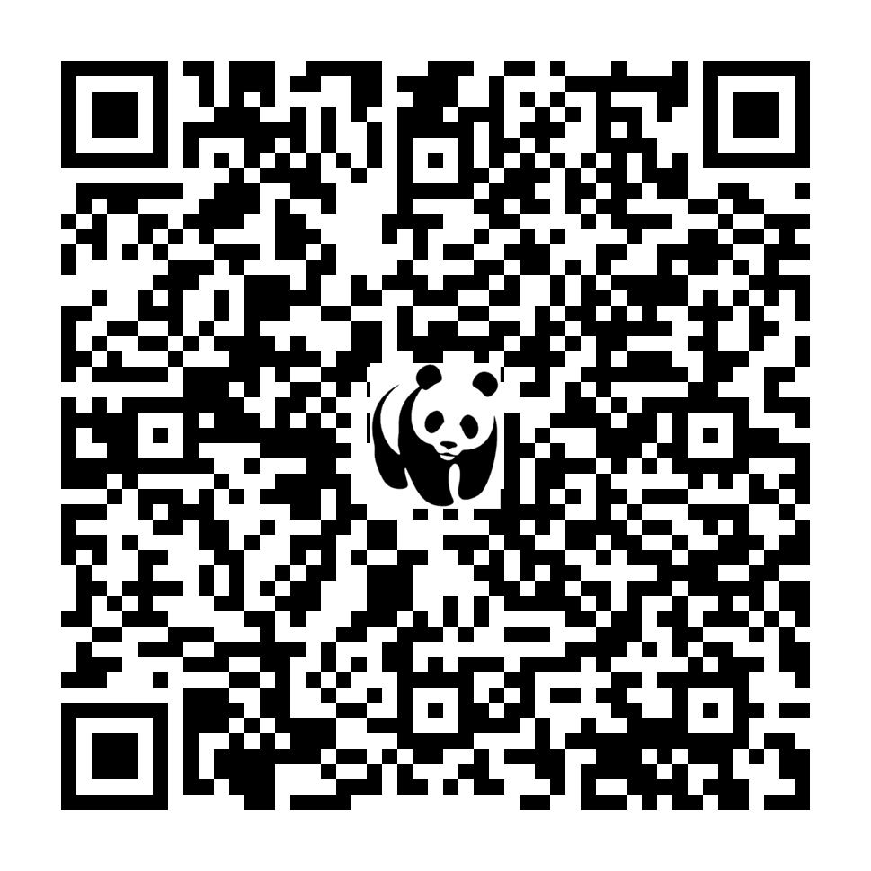 Scan deze QR-code om te doneren (vernieuw de pagina als je geen QR-code ziet)