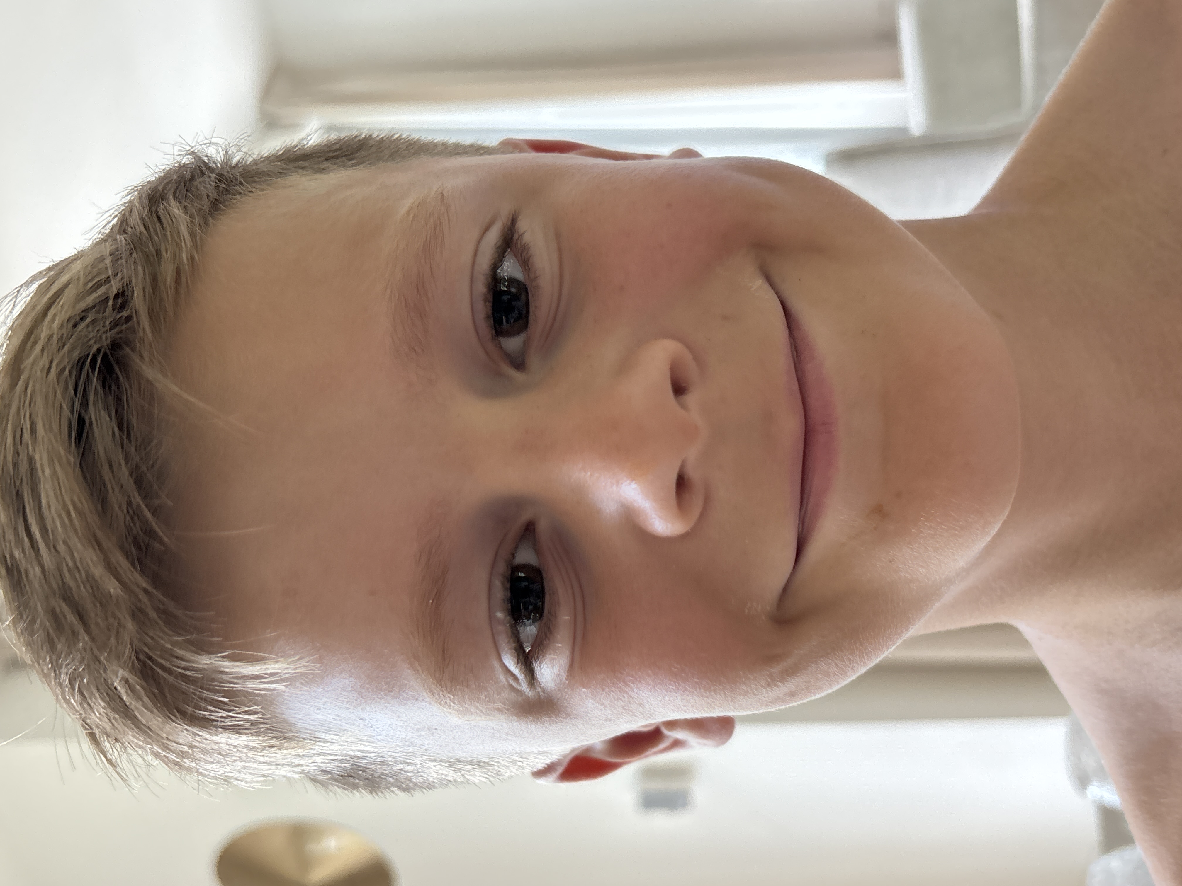 Lars de schildpadredder