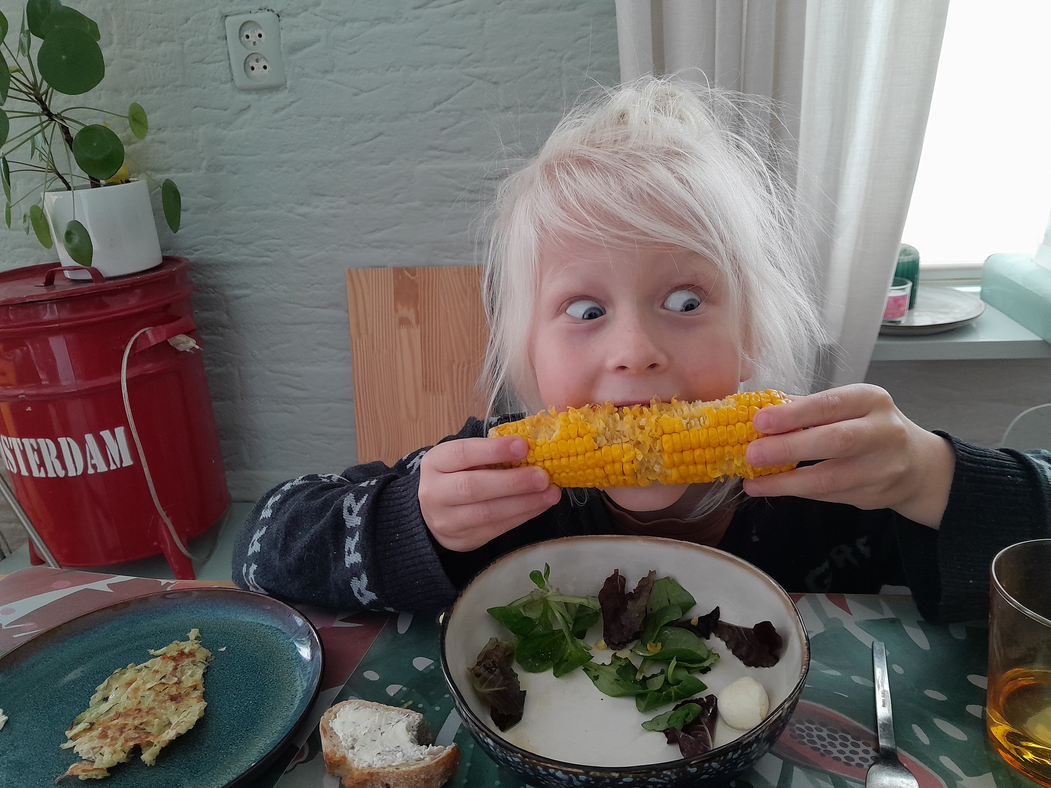 Help de zeeschildpadjes