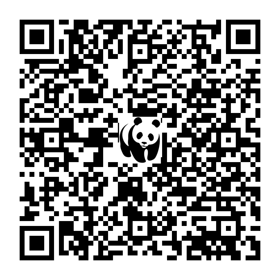 Scan deze QR-code om te doneren (vernieuw de pagina als je geen QR-code ziet)