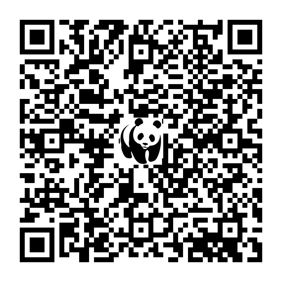 Scan deze QR-code om te doneren (vernieuw de pagina als je geen QR-code ziet)