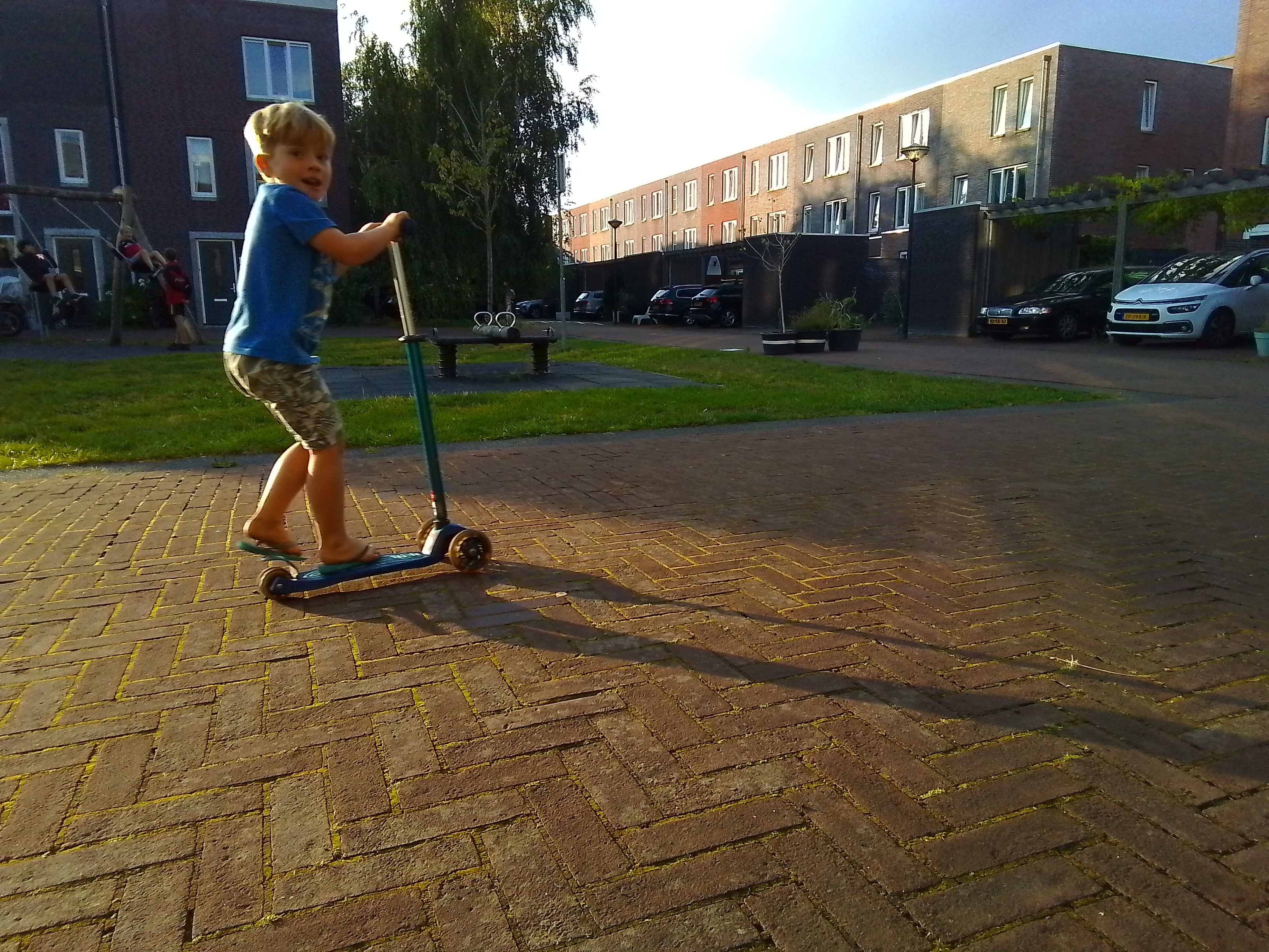 Zeeschildpad actie Oli