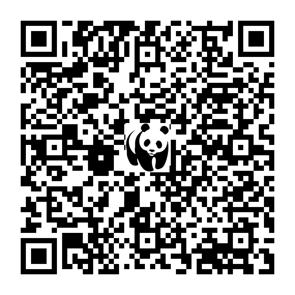 Scan deze QR-code om te doneren (vernieuw de pagina als je geen QR-code ziet)