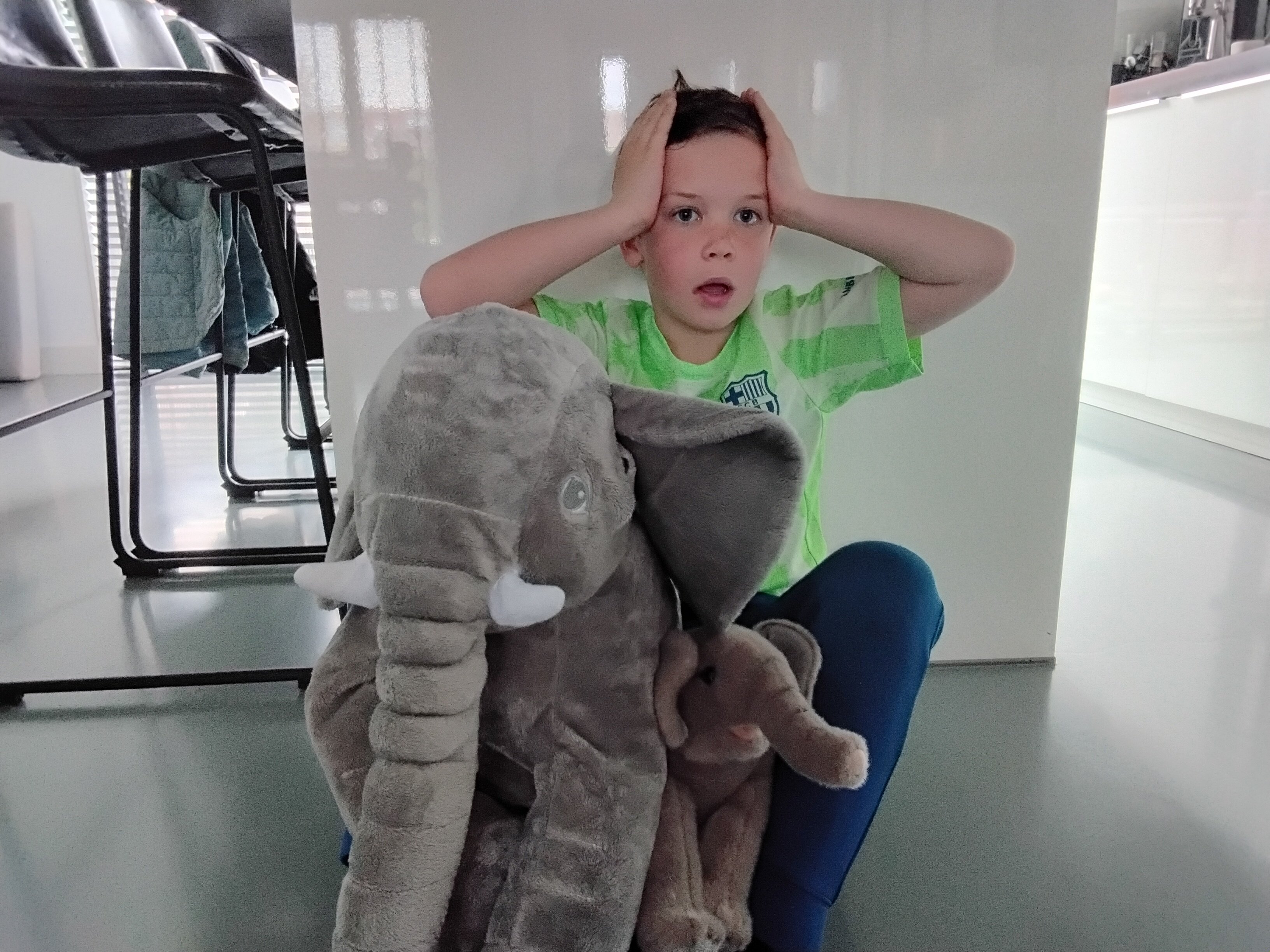Doneer voor de olifant