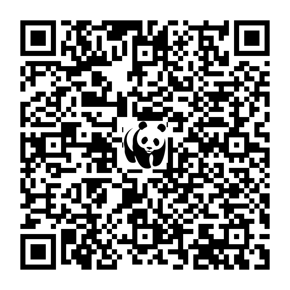 Scan deze QR-code om te doneren (vernieuw de pagina als je geen QR-code ziet)
