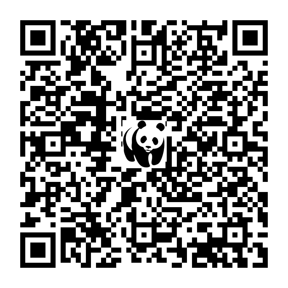 Scan deze QR-code om te doneren (vernieuw de pagina als je geen QR-code ziet)