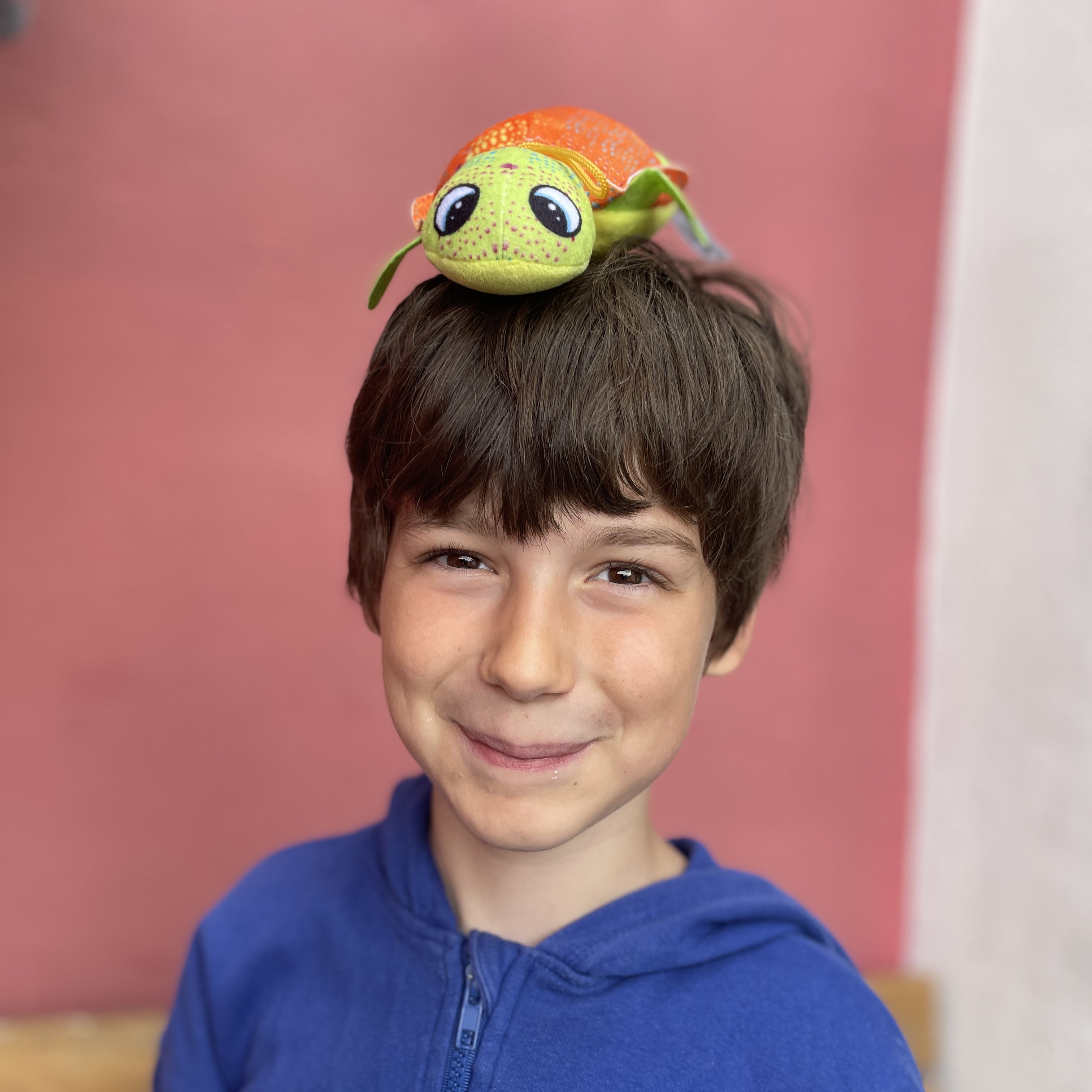 Faas redt de schildpadden