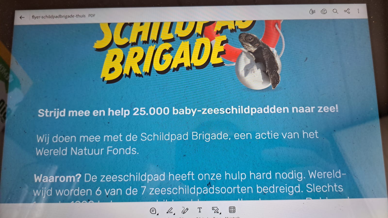 Zwem4daagse sponsoractie