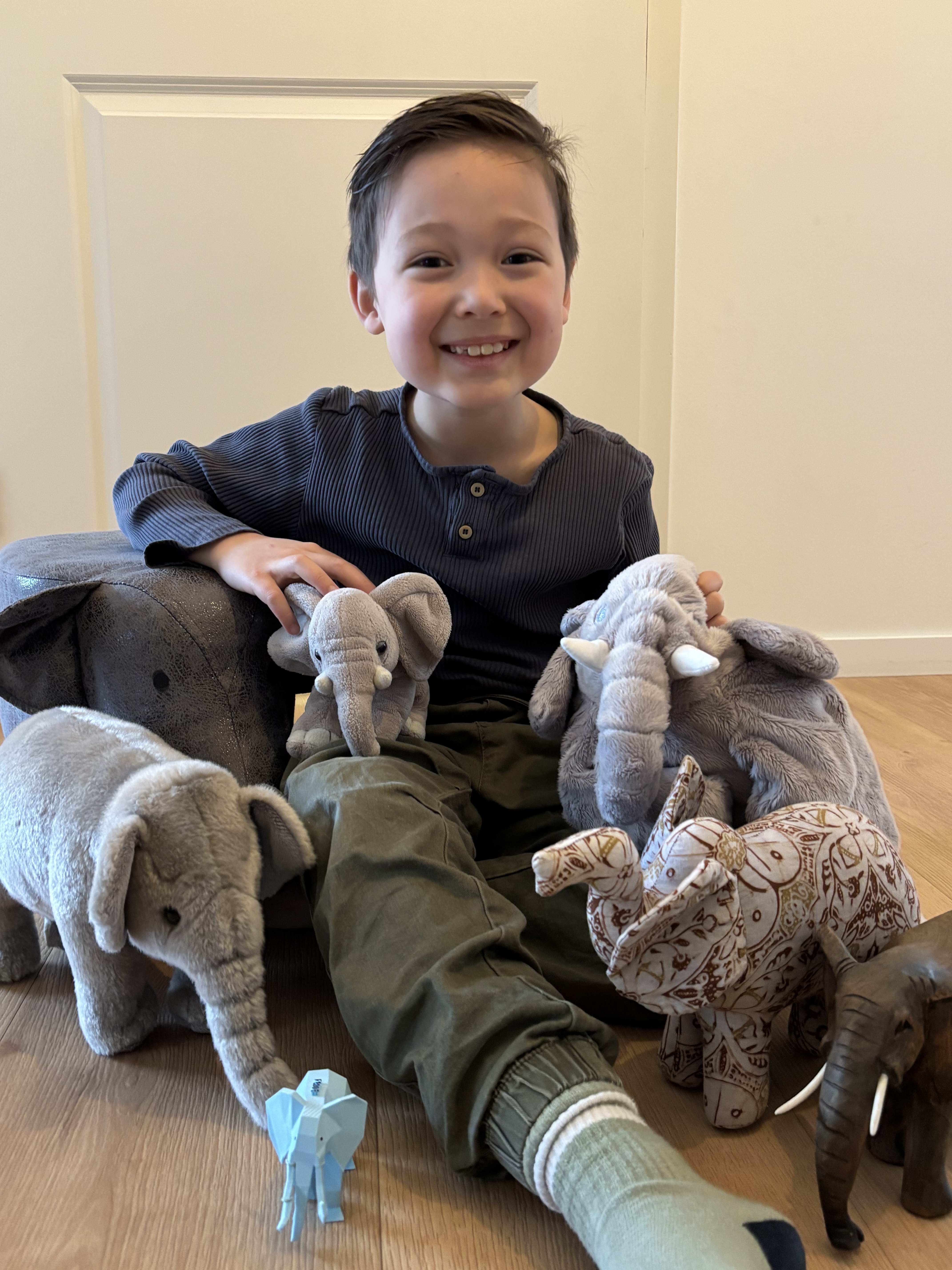 Fedde voor de olifanten