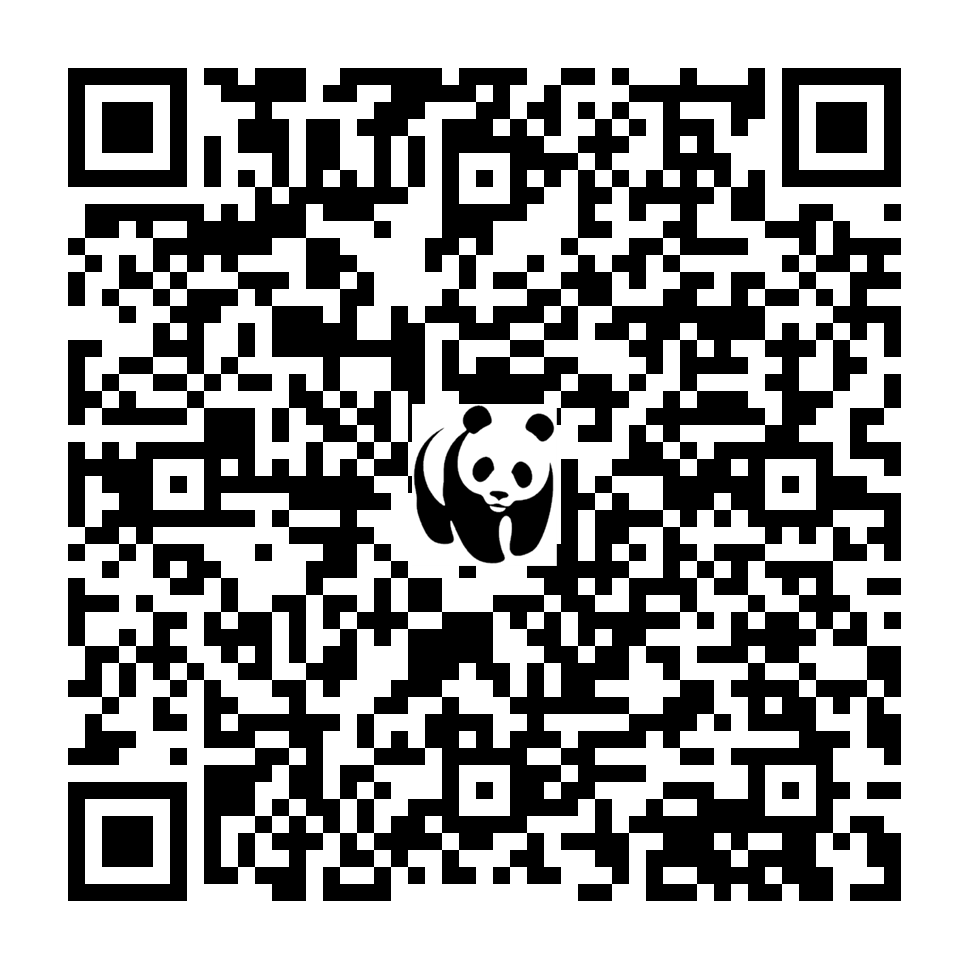 Scan deze QR-code om te doneren (vernieuw de pagina als je geen QR-code ziet)