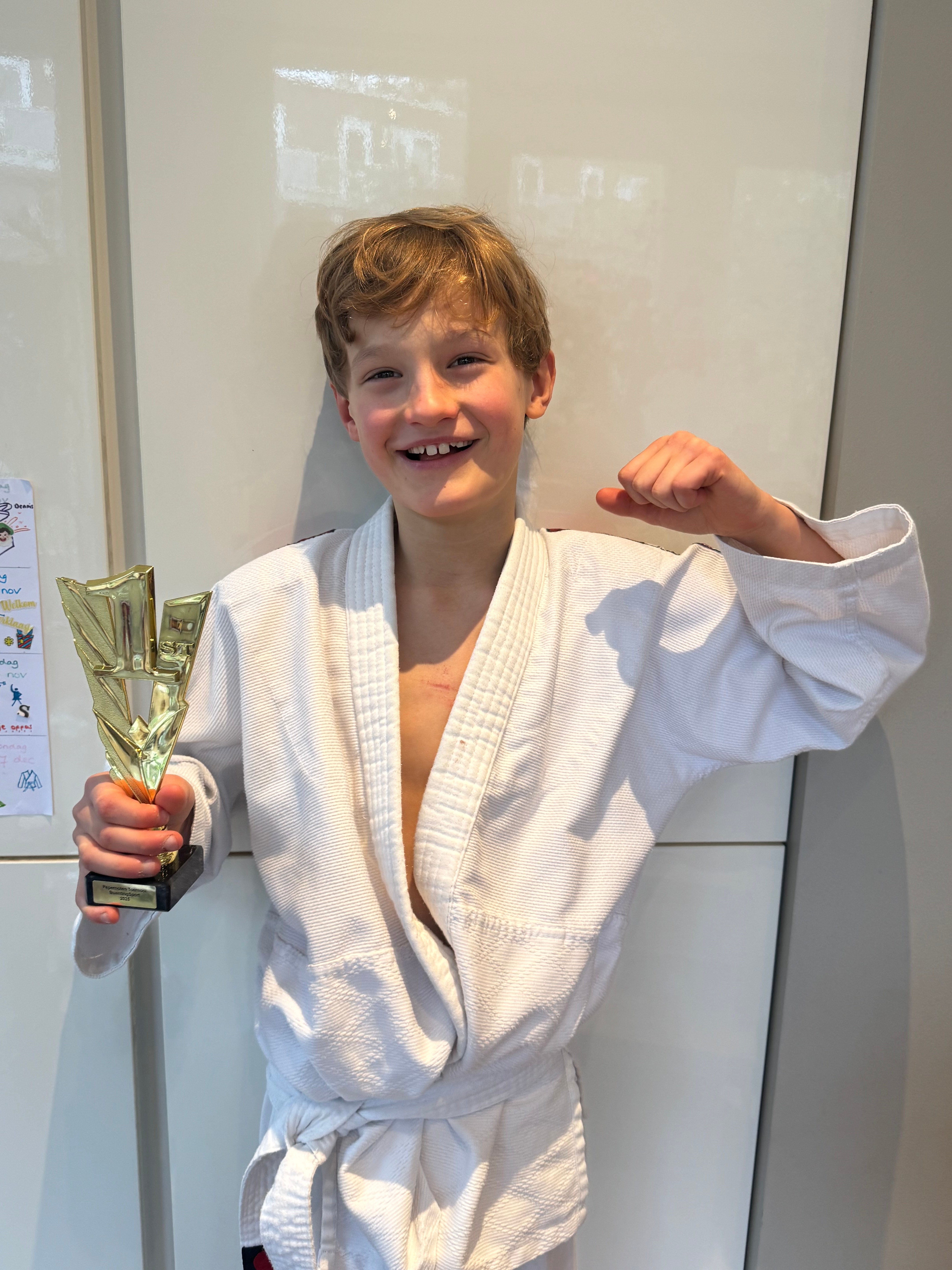 Fedde helpt de olifant