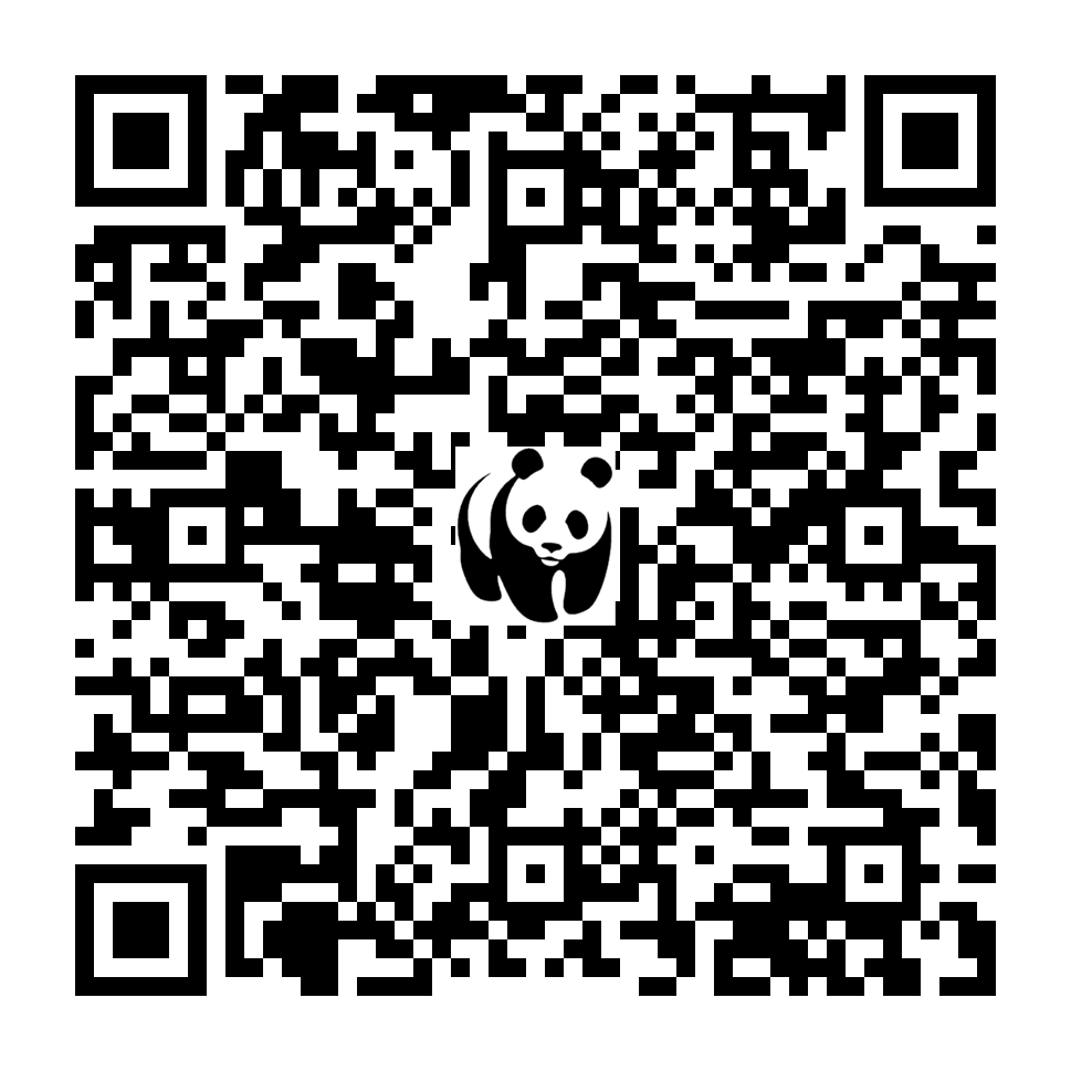 Scan deze QR-code om te doneren (vernieuw de pagina als je geen QR-code ziet)
