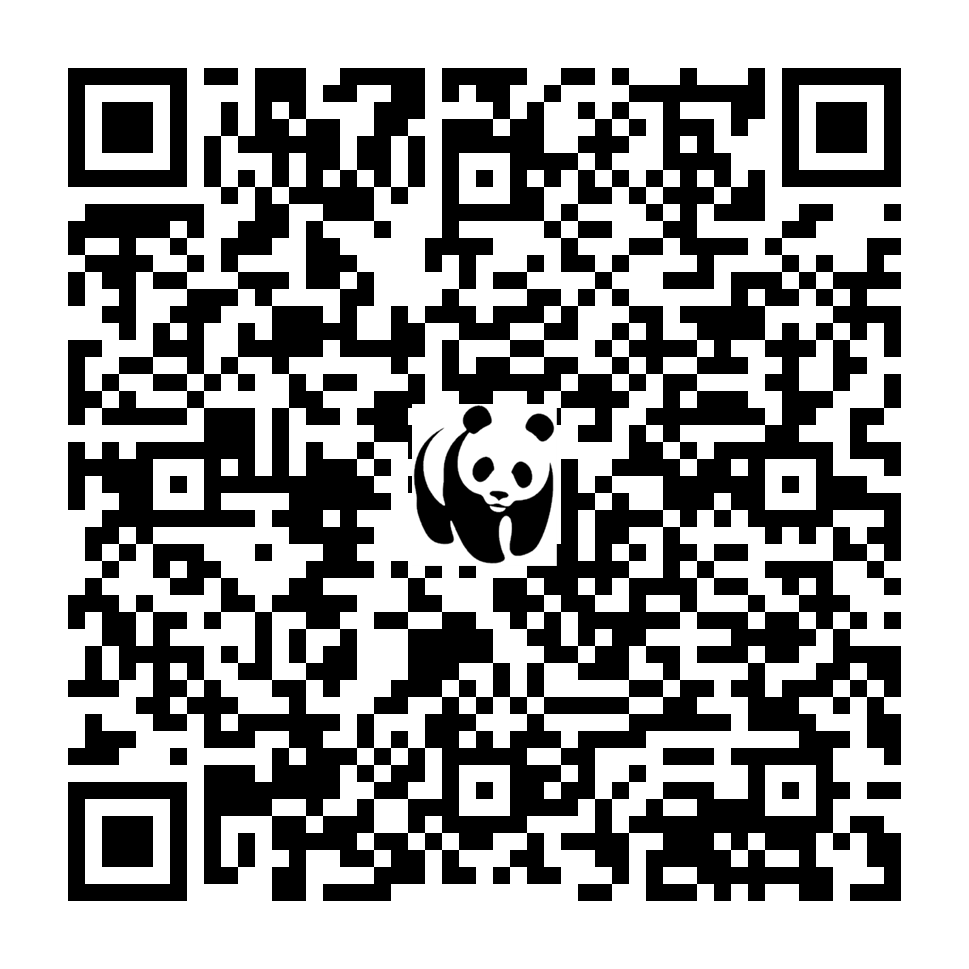 Scan deze QR-code om te doneren (vernieuw de pagina als je geen QR-code ziet)