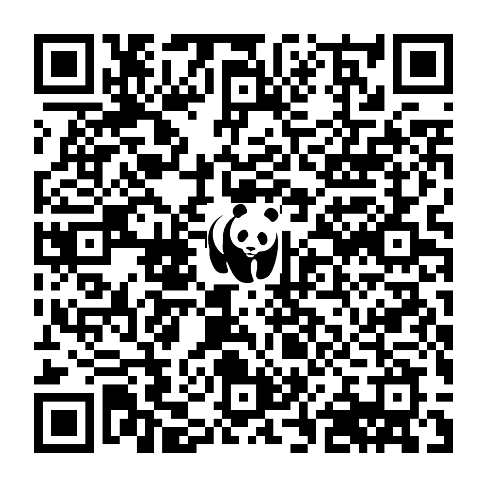 Scan deze QR-code om te doneren (vernieuw de pagina als je geen QR-code ziet)