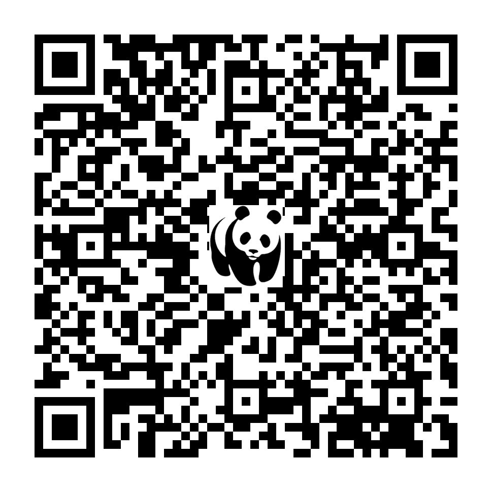 Scan deze QR-code om te doneren (vernieuw de pagina als je geen QR-code ziet)