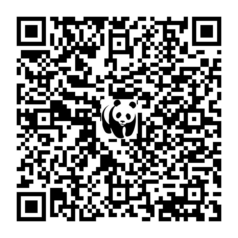 Scan deze QR-code om te doneren (vernieuw de pagina als je geen QR-code ziet)