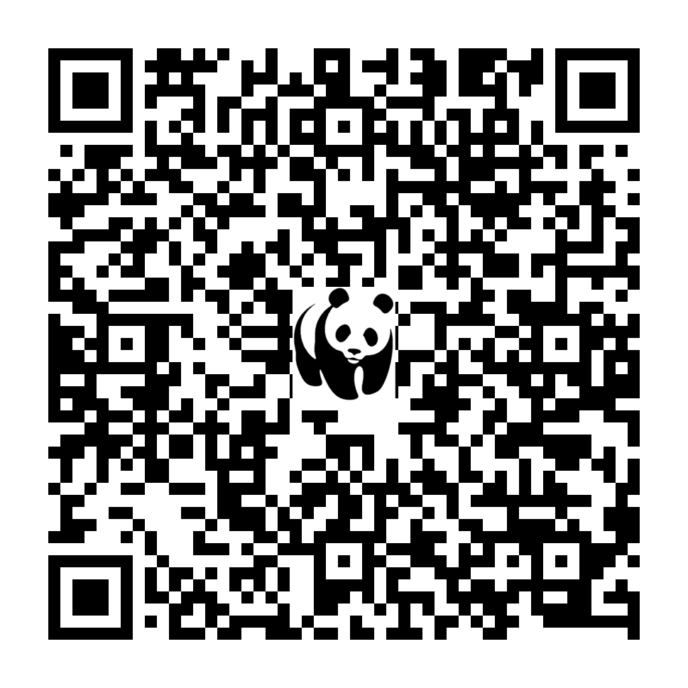 Scan deze QR-code om te doneren (vernieuw de pagina als je geen QR-code ziet)