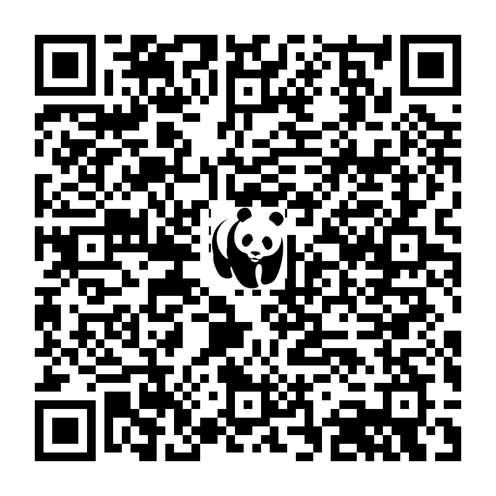 Scan deze QR-code om te doneren (vernieuw de pagina als je geen QR-code ziet)