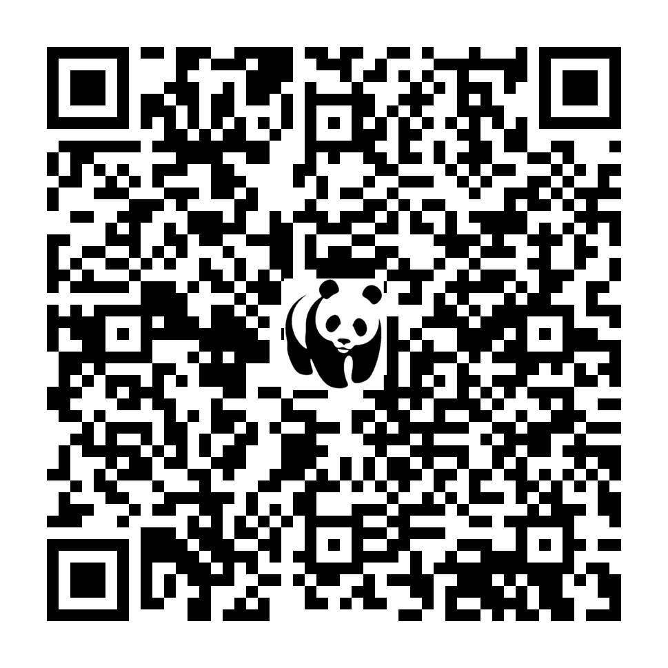 Scan deze QR-code om te doneren (vernieuw de pagina als je geen QR-code ziet)