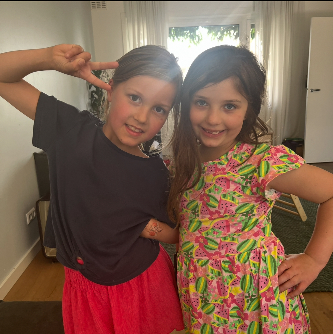 Schilpadje bevrijden