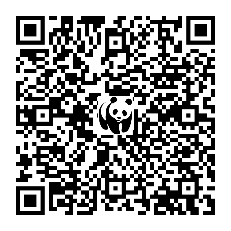 Scan deze QR-code om te doneren (vernieuw de pagina als je geen QR-code ziet)