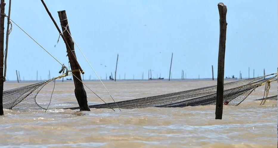 Netten waar lederschildpadden tussendoor moeten WWF Guianas.JPG