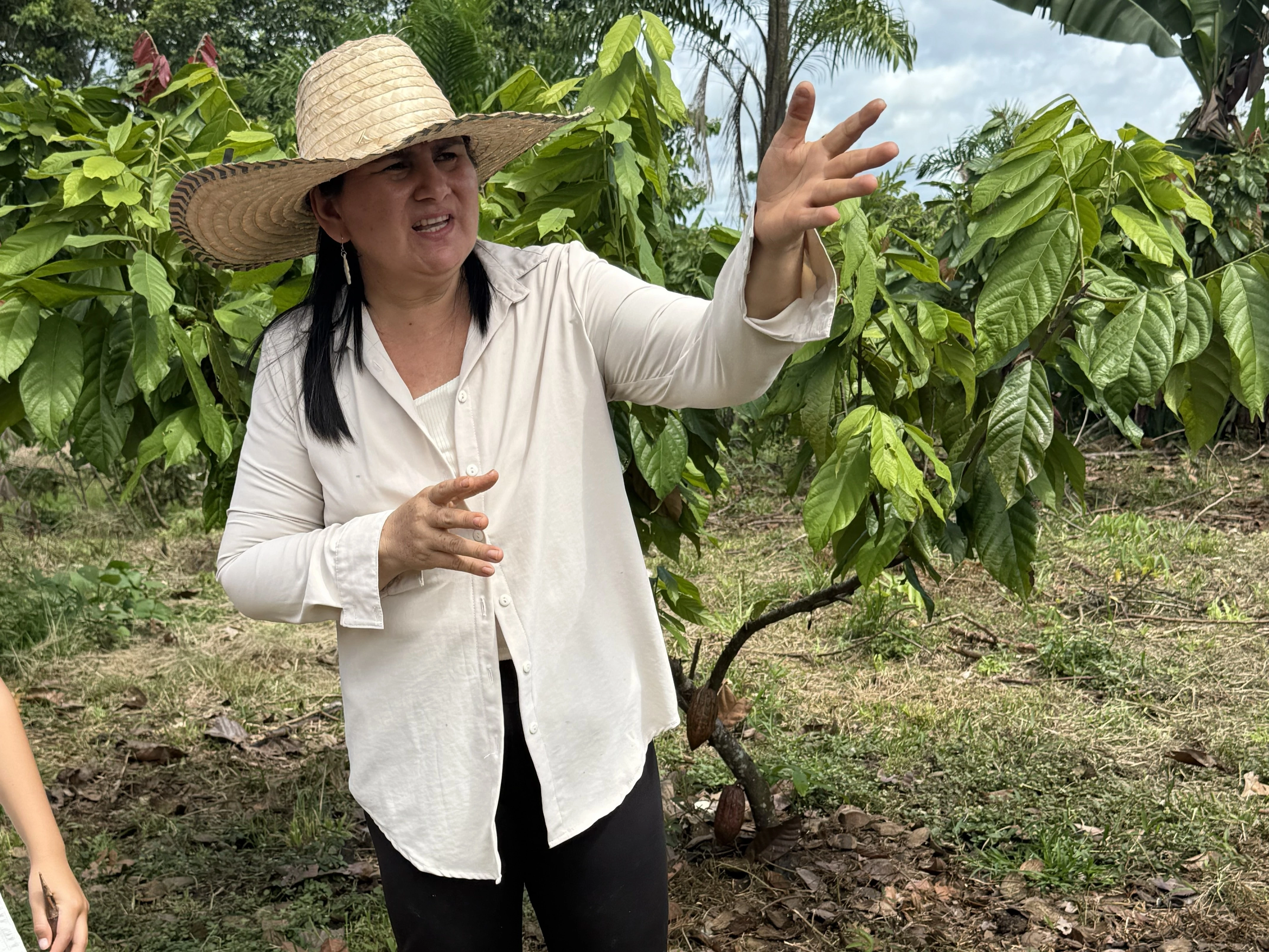 Dona Leonor explaining in cacao field 3.jpg