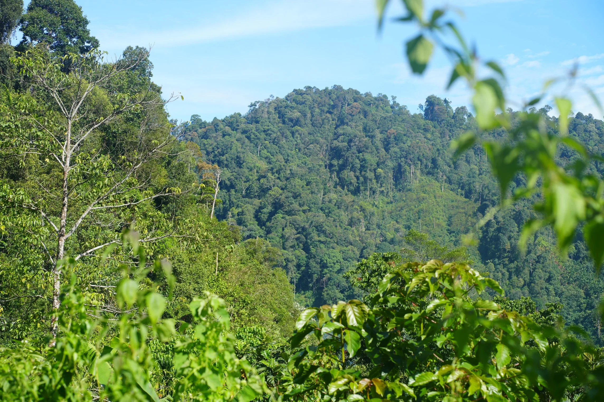 gebied waar Muhammad Rasyid woont