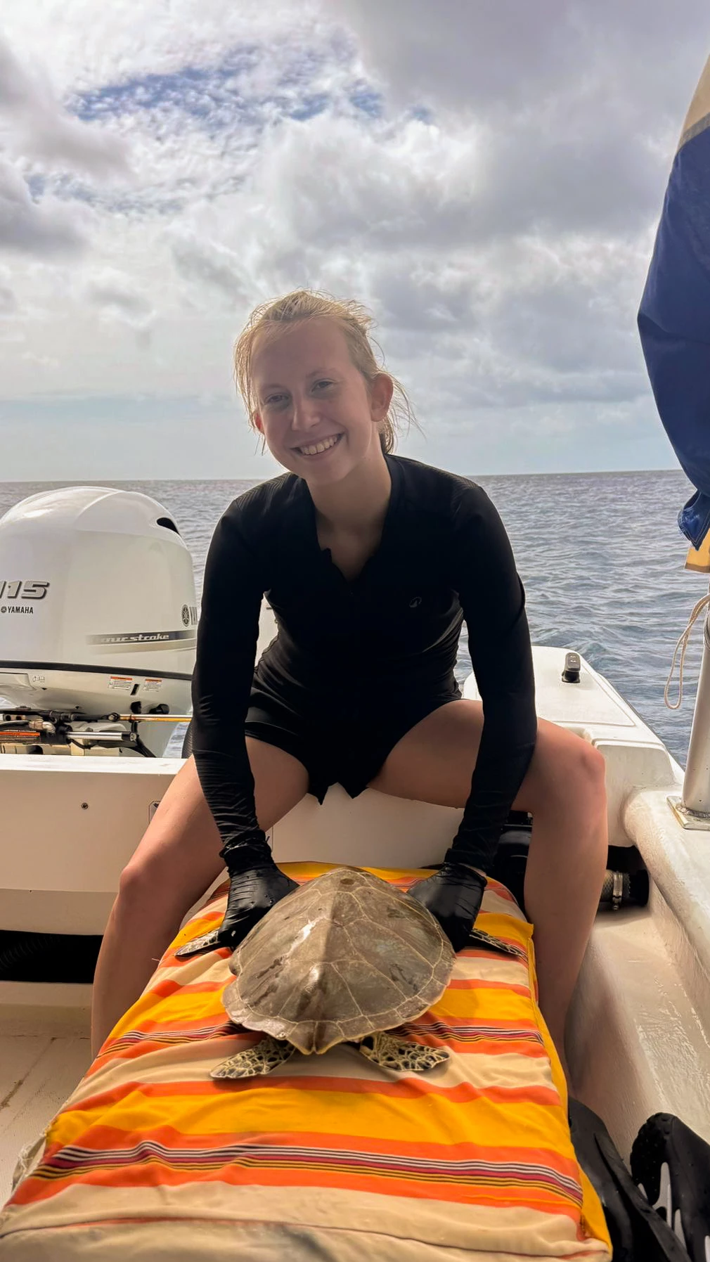 zeeschildpadden op de boot