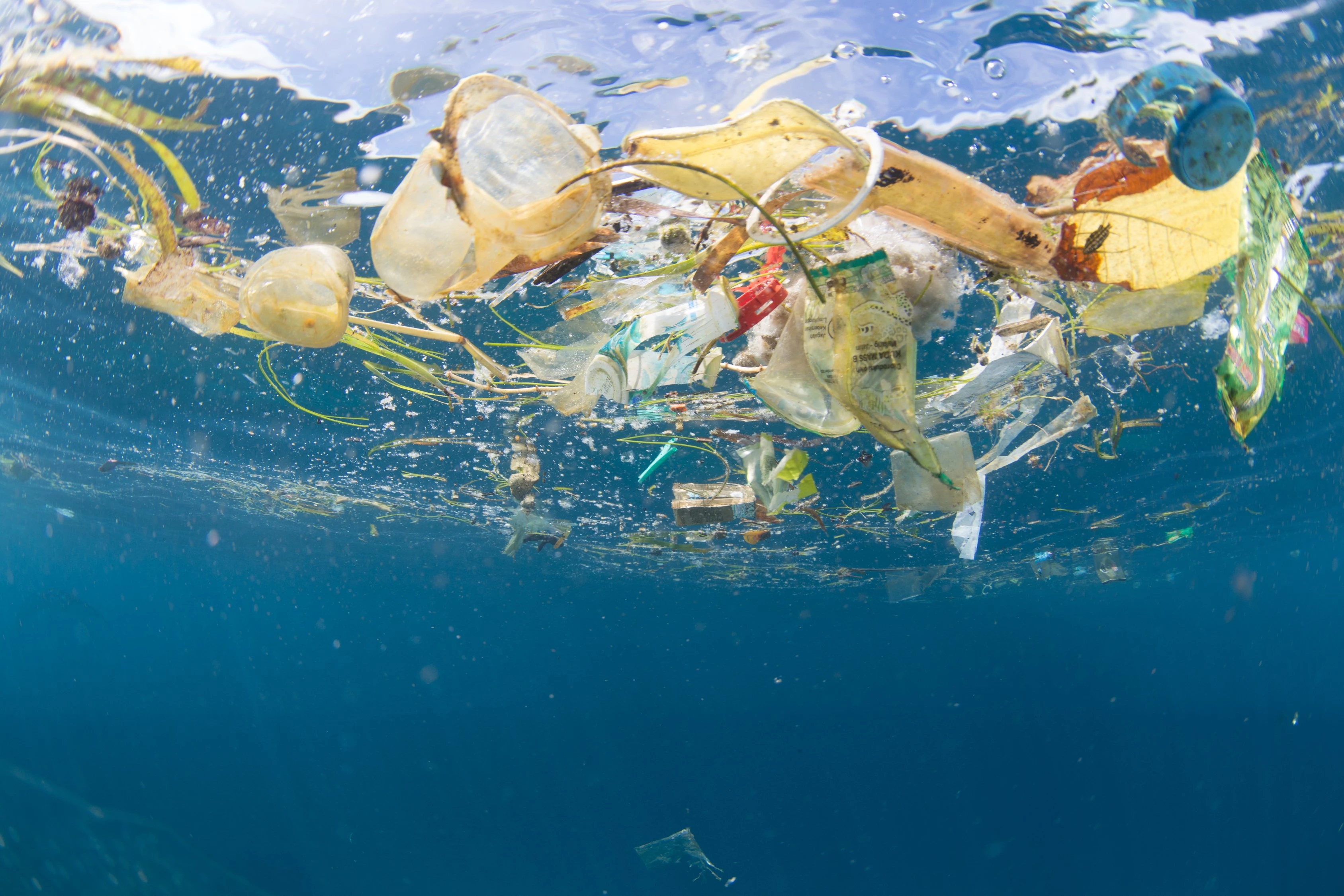 Plastic Soup