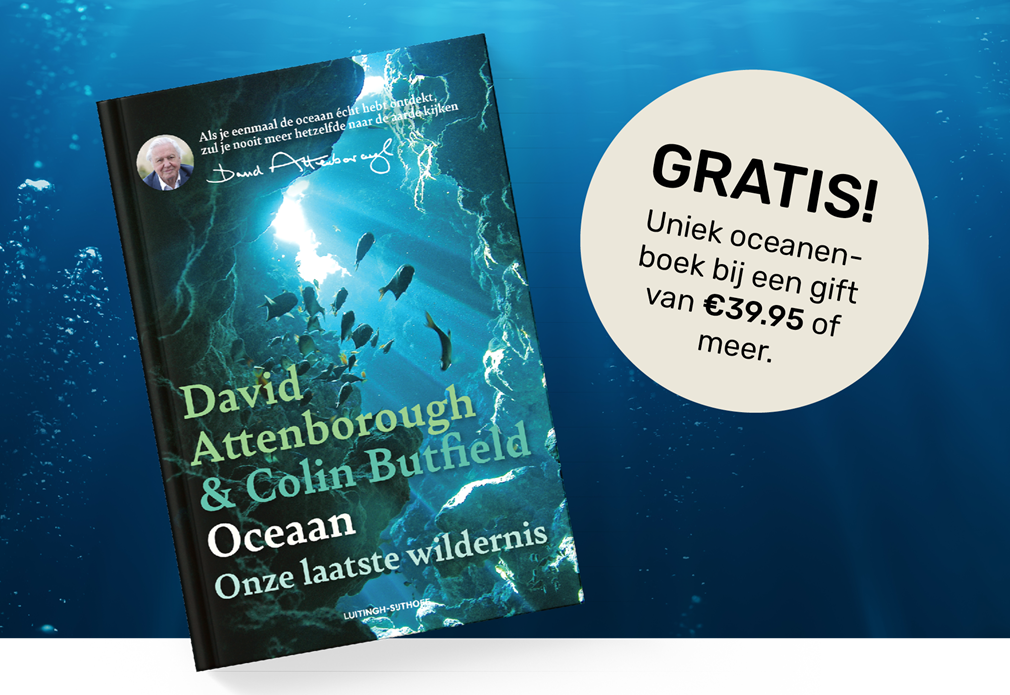 Oceaan: Onze Laatste Wildernis David Attenborough
