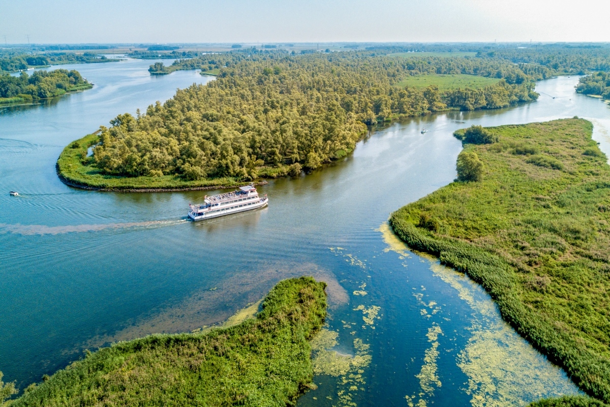 Biesbosch.jpg