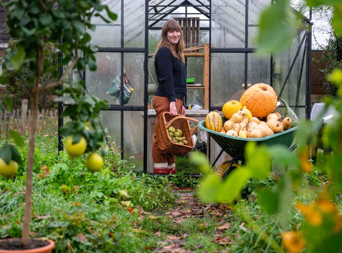 Vrouw houd man vast naast kruiwagen met pompoenen